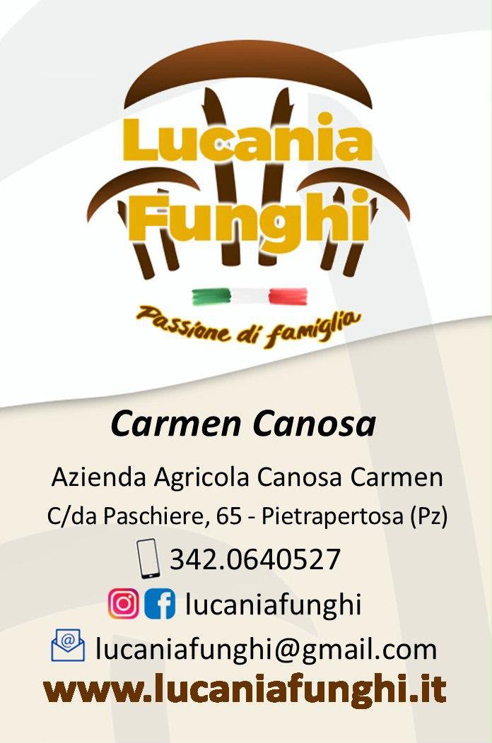Logo Lucania Funghi